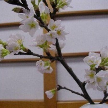 Wakaba Ryokan / Vacation Stay 29362 Sakata Zewnętrze zdjęcie