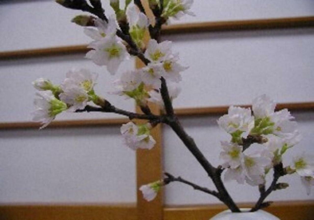 Wakaba Ryokan / Vacation Stay 29362 Sakata Zewnętrze zdjęcie